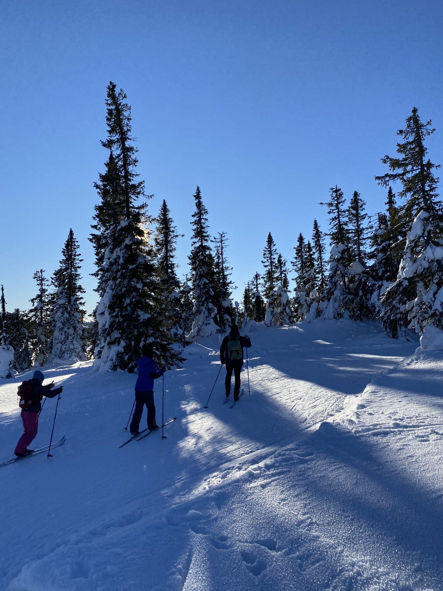 Image 4 2023 01 18 19 42 19